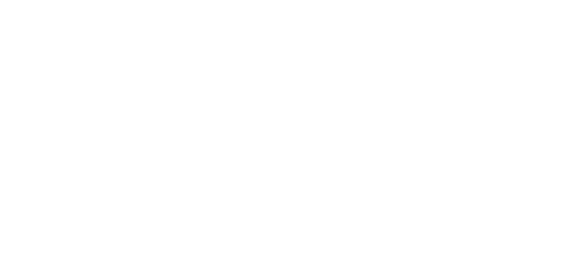 Logo Q13